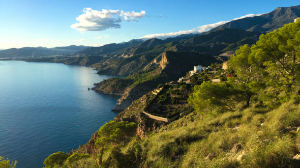 Willkommen in Maro, einem noch ursprünglichen Küstendorf an der östlichen Costa del Sol in subtropischem Klima.